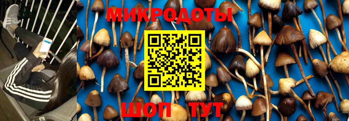Псилоцибиновые грибы мухоморы  дарнет шоп  Галлюциногенные грибы Magic Shrooms  Бийск 
