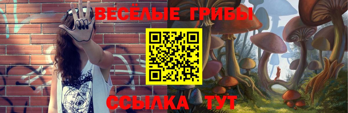 Псилоцибиновые грибы Psilocybe Бийск